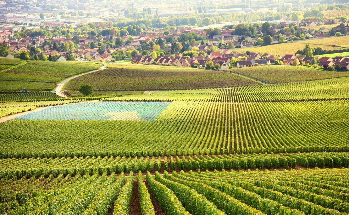 Les Regions Viticoles Francaises Decouvrir Notre Terroir