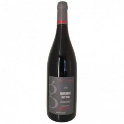 Bouteille La Vigne D'emile  Pinot Noir - Rouge (2021) Domaine Guéguen