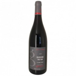 Bouteille La Vigne D'emile  Pinot Noir - Rouge (2020) Domaine Guéguen