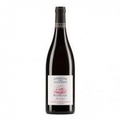 Bouteille Igoronda - Rouge (2020) Domaine des Ouches