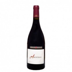 Bouteille Arcestrale - Rouge (2017) Jourdan et Pichard
