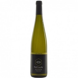 Bouteille Riesling Eguisheim - Blanc (2015) Domaine Gaschy