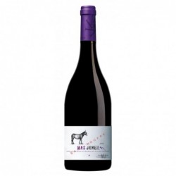 Bouteille Mas Janeil Sans Soufre - Rouge (2018) Domaine Mas Janeil