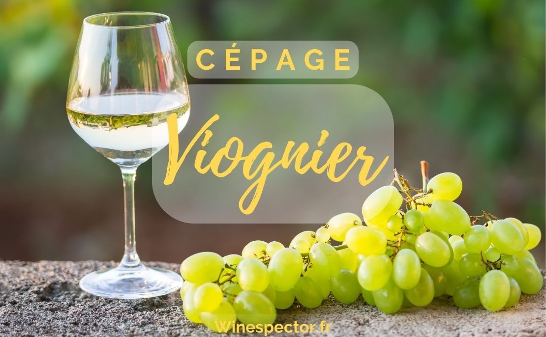 Viognier