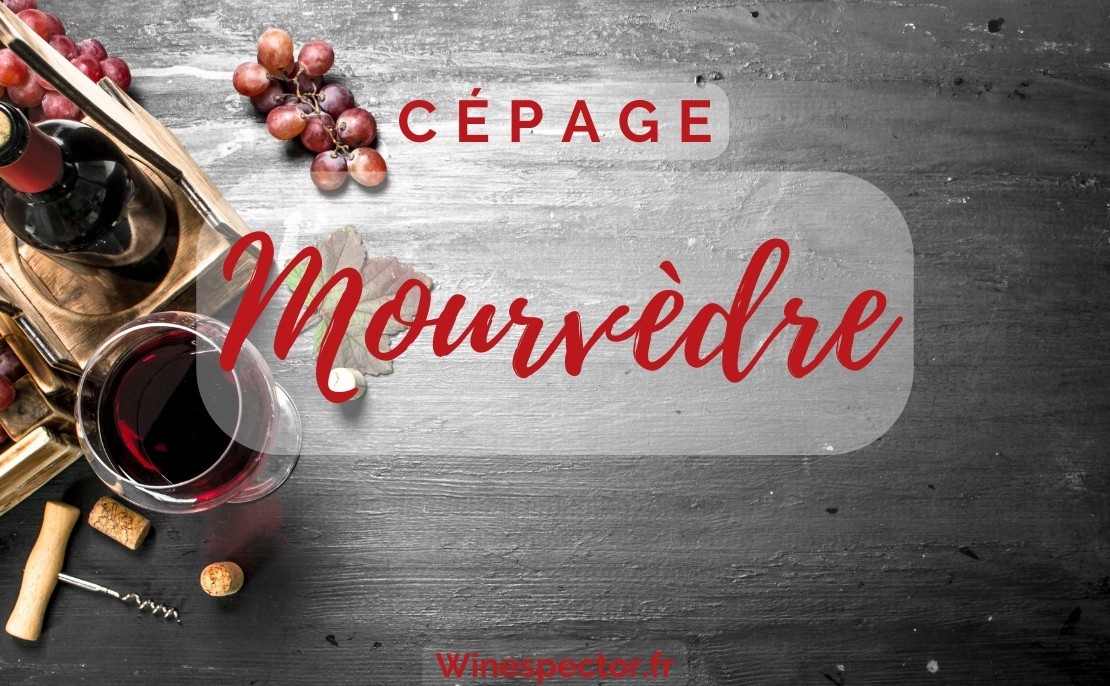 Mourvèdre