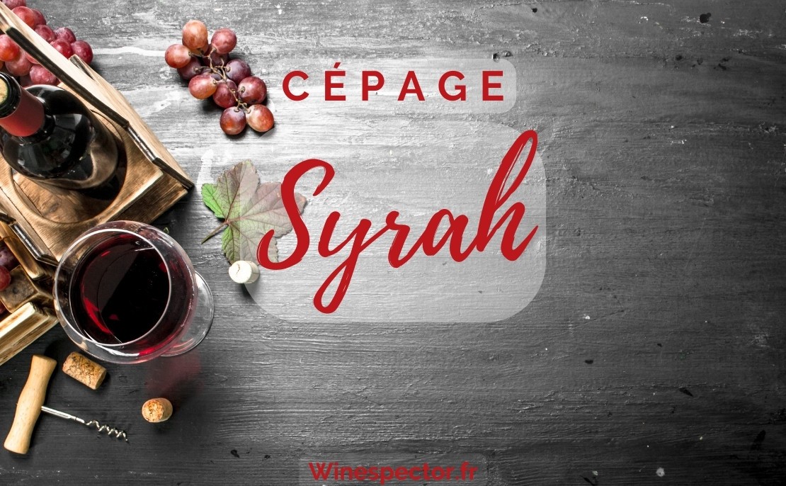 Syrah