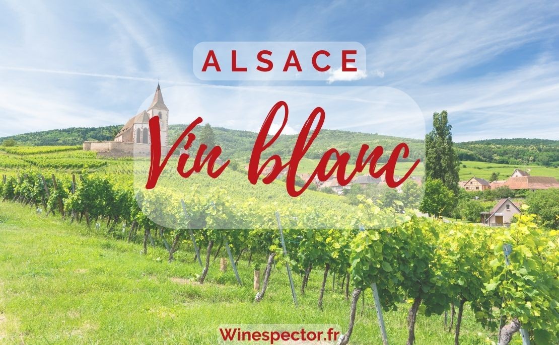 Alsace Blanc