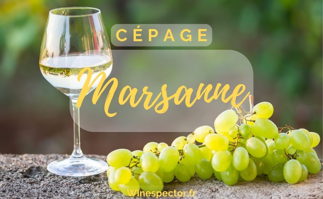 Marsanne