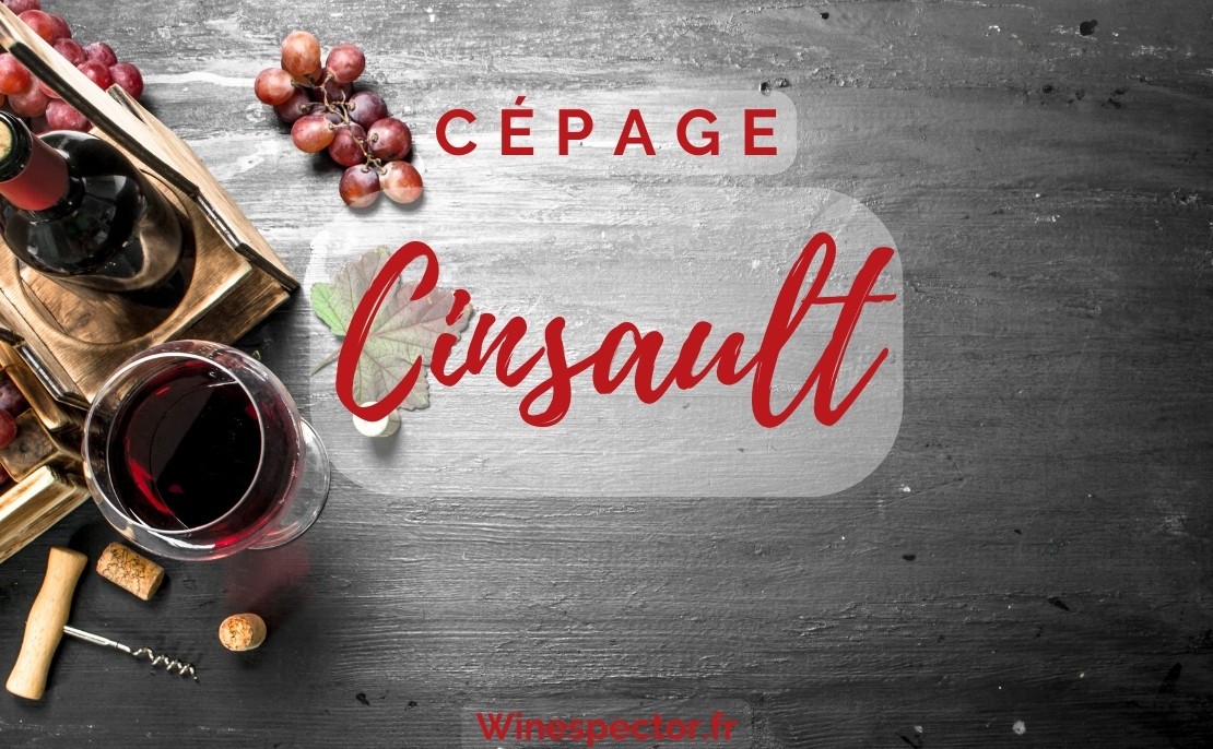Cinsault