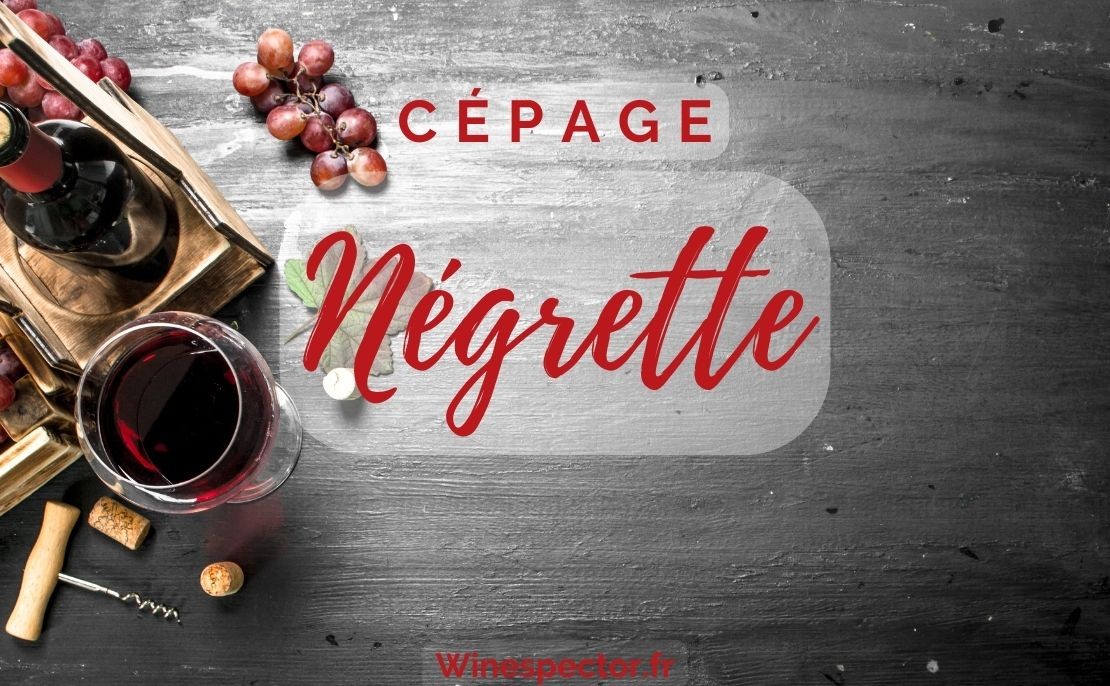 Négrette Négrette