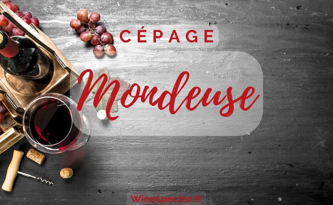 Mondeuse Mondeuse