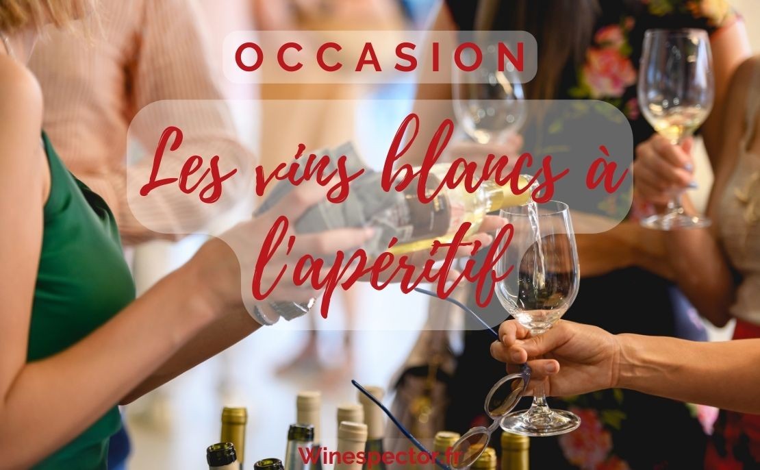 Vin blanc d'apéro : Sélection de meilleurs vins pour l'apéritif