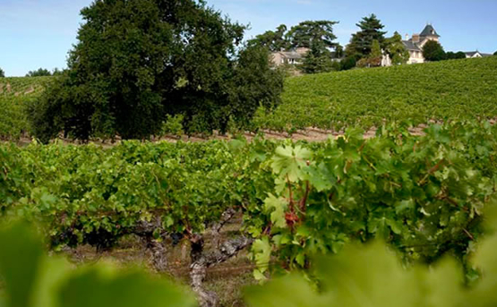 Château Soucherie Vallée de Loire - Anjou