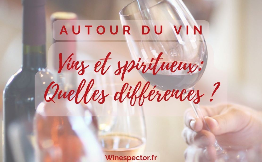 Vins et spiritueux : Quelles différences ?