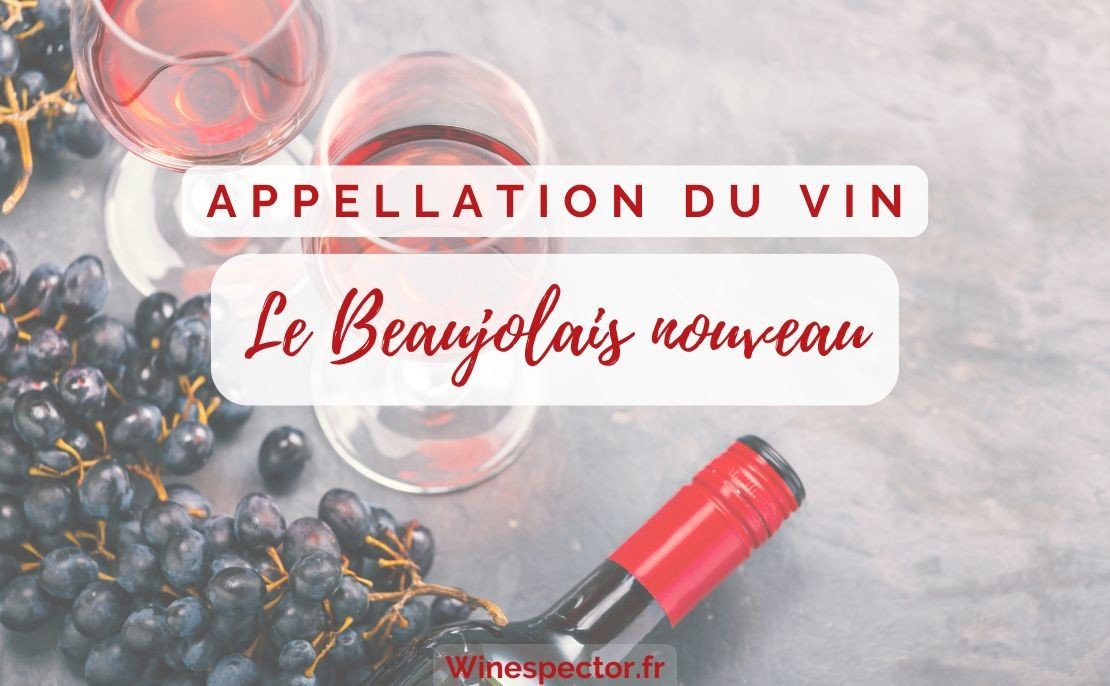 Le beaujolais nouveau