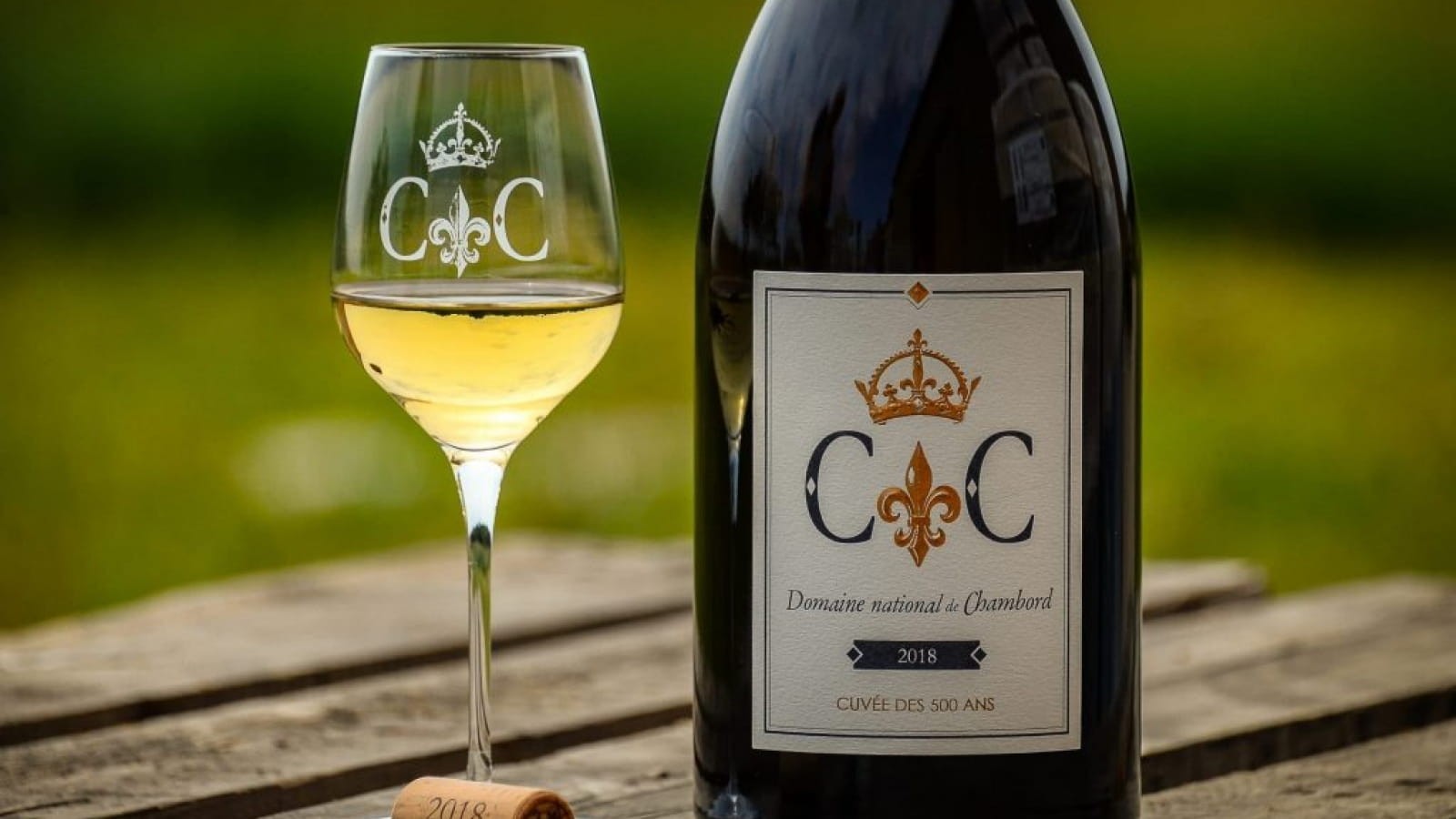 Les cépages oubliés : redécouverte des trésors viticoles Les cépages oubliés : redécouverte des trésors viticoles