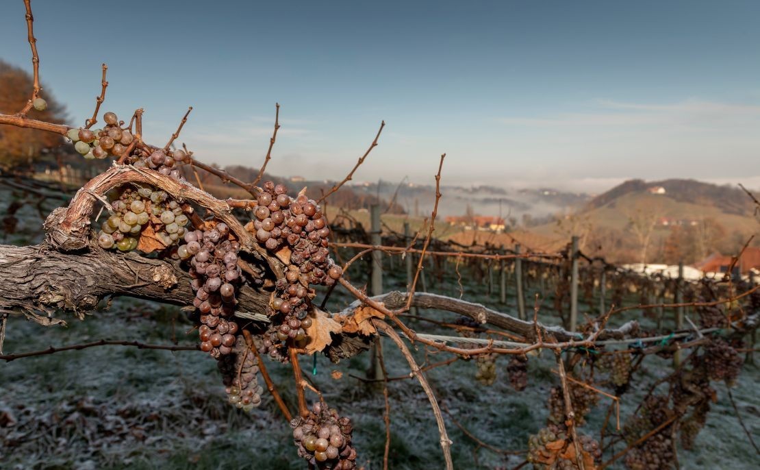 Le vin de glace : qu’est-ce que c’est ?