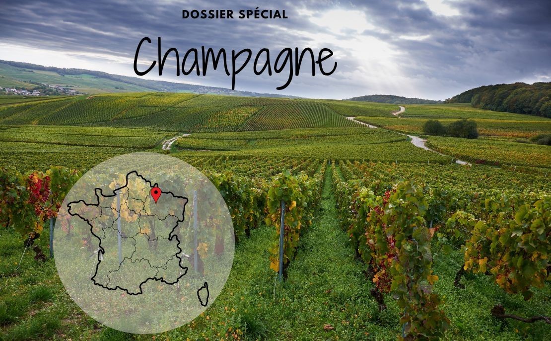 Dossier spécial Champagne