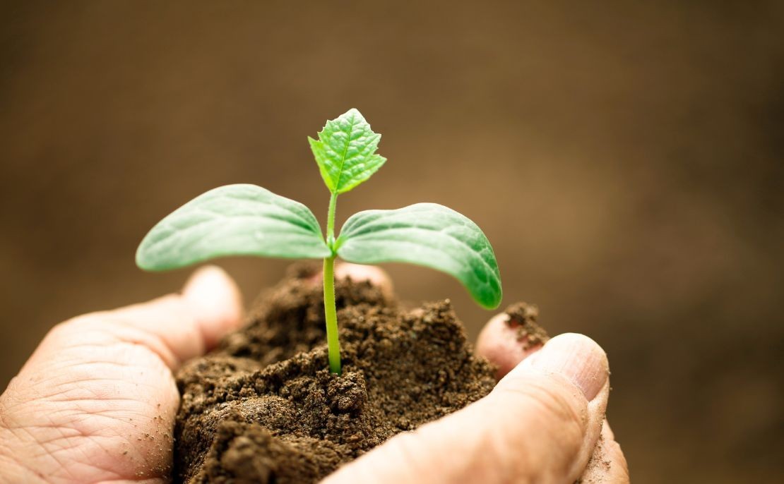 L’agriculture biologique : un simple effet de mode ?