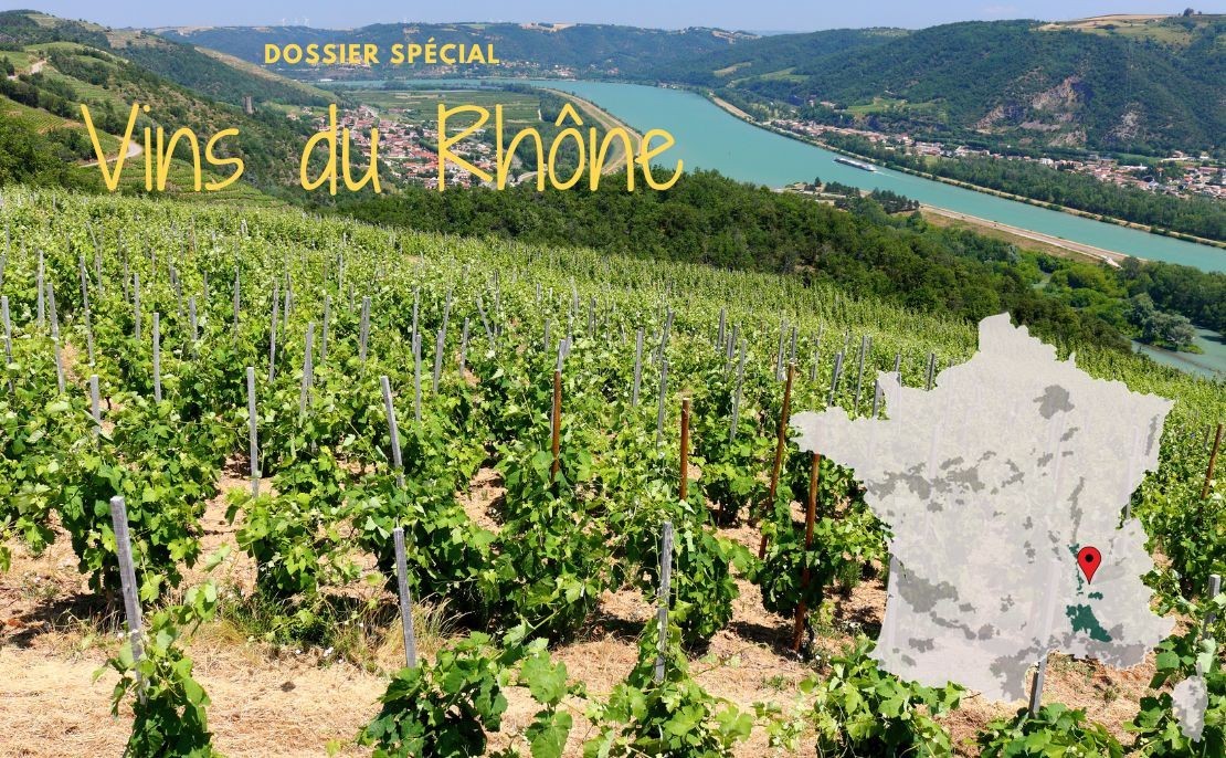 Guide des vins du Rhône