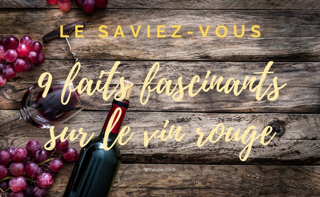 9 Faits fascinants sur le vin rouge