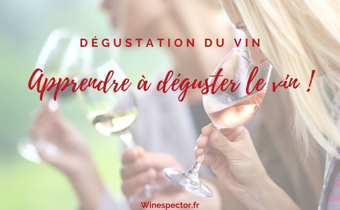 Apprendre à déguster un vin