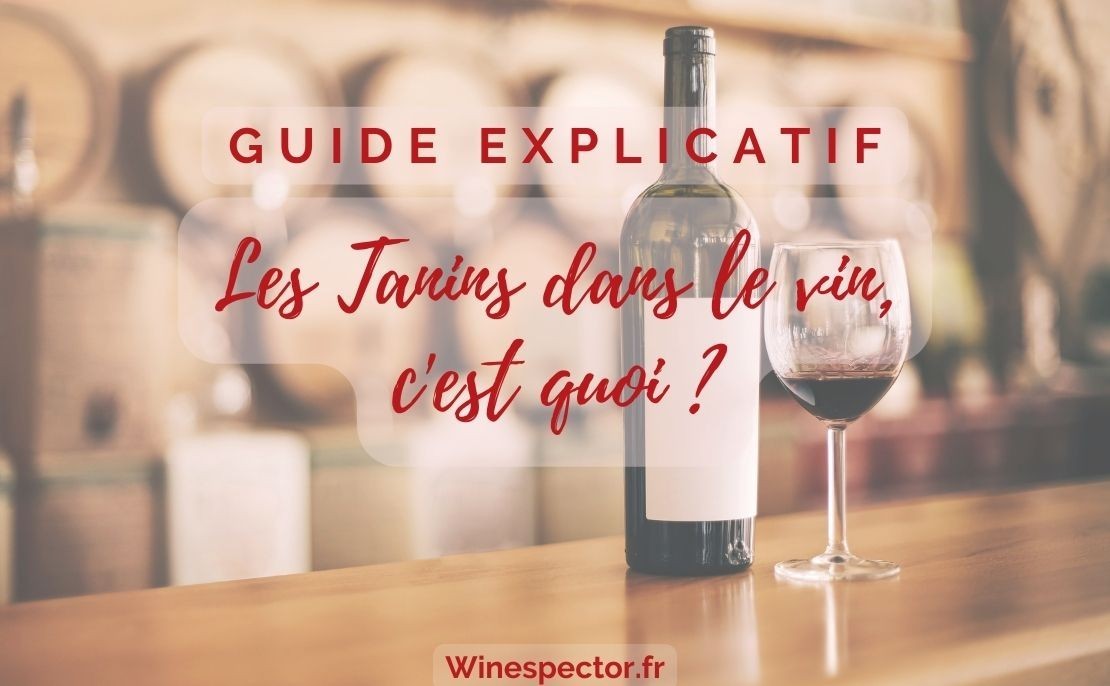 Les tanins dans le vin, c'est quoi ? Comprendre le tanin et savoir le décrire