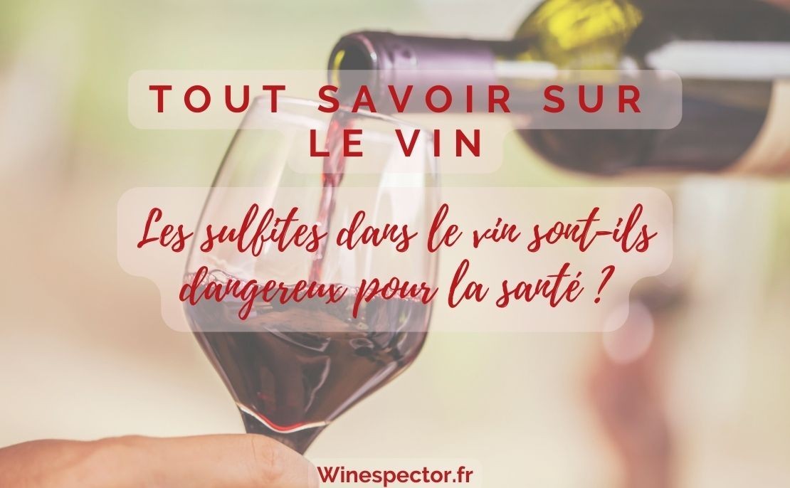 Les sulfites dans le vin sont-ils dangereux pour la santé ?
