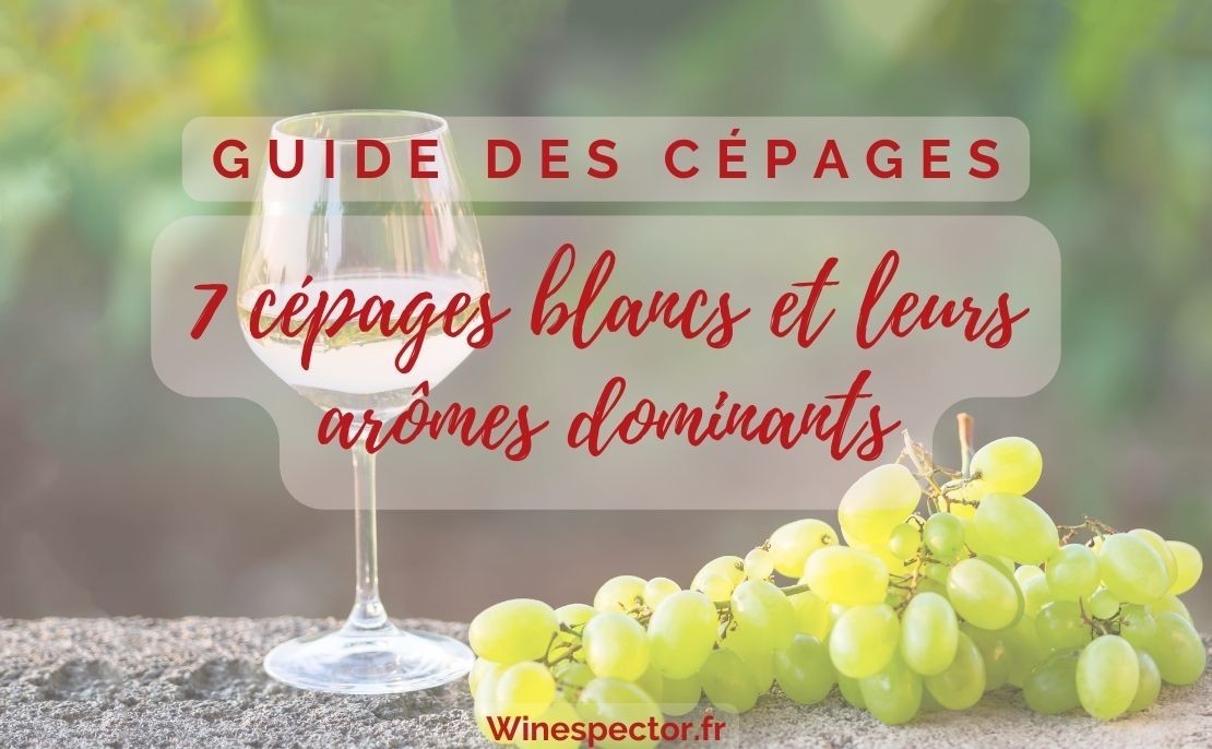 7 cépages blancs et leurs arômes dominants