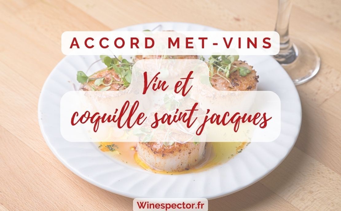 Vin et coquille saint jacques
